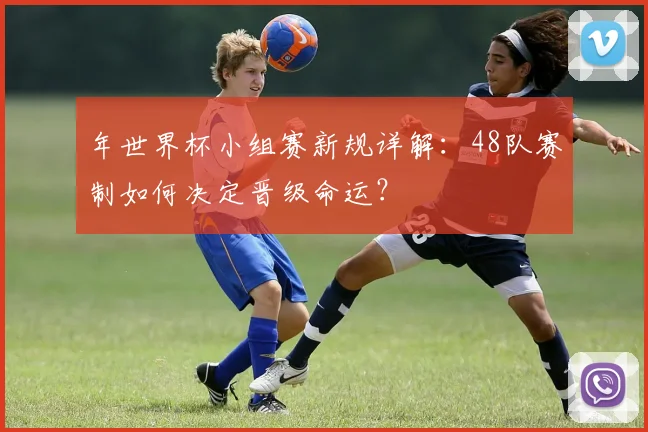 年世界杯小组赛新规详解：48队赛制如何决定晋级命运？